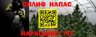 гидра Тулун