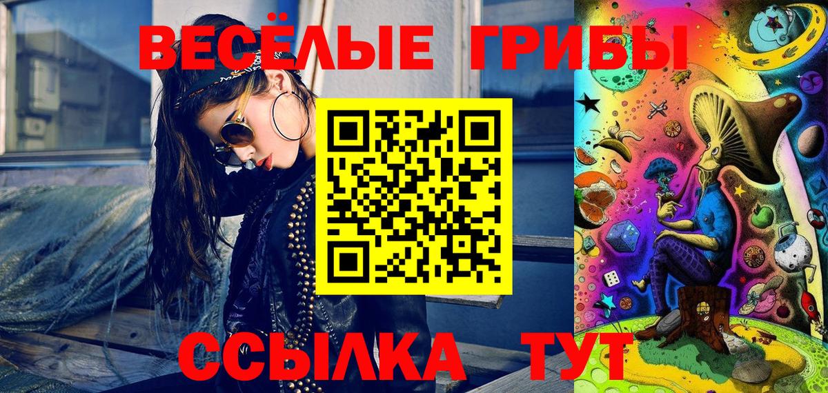 Галлюциногенные грибы Psilocybe  Галлюциногенные грибы Psilocybe  Химки  Вход с VPN 